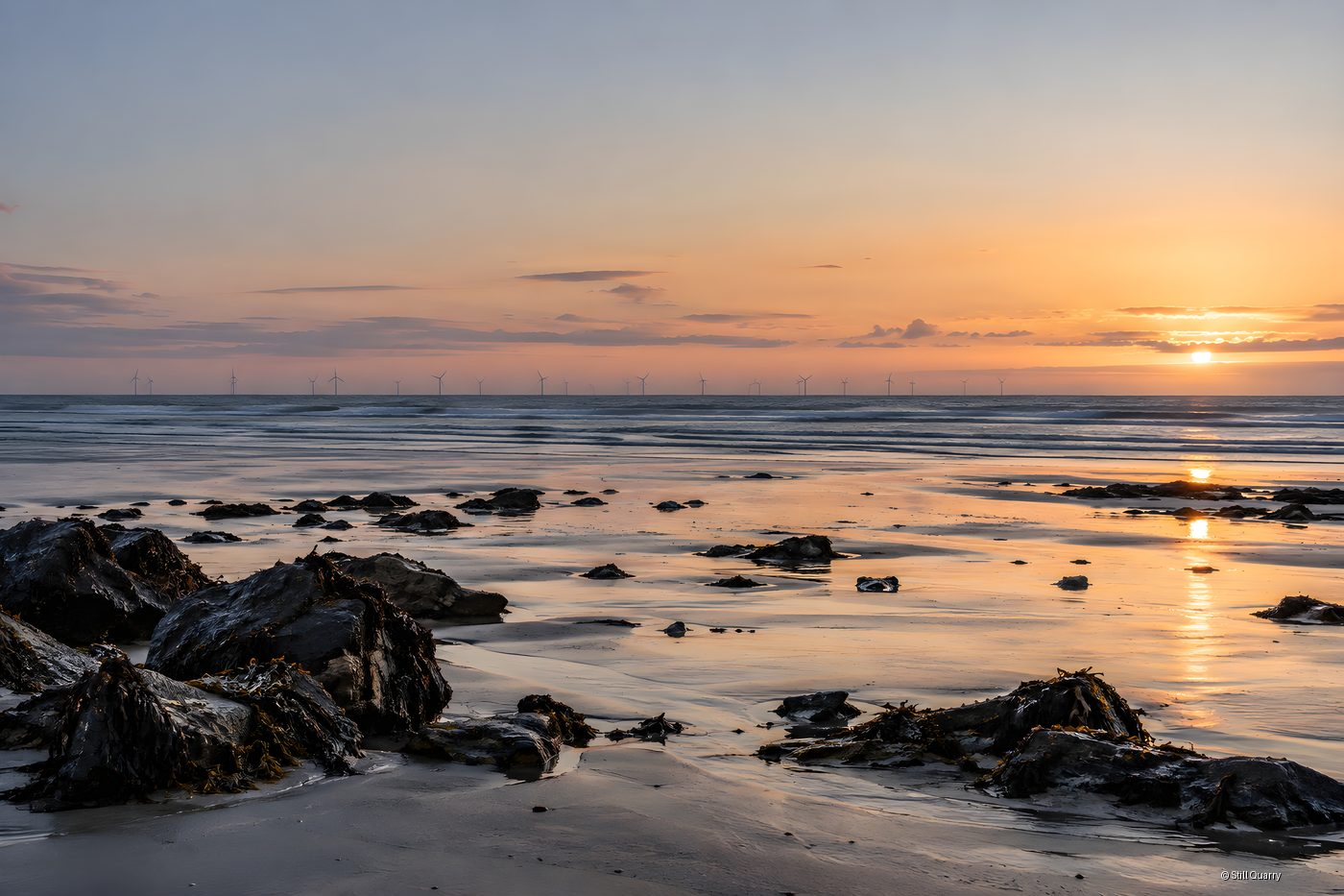 Offshore wind farm turbines lined up on the sea horizon at sunset, viewed from a rocky beach with seaweed and wet sand
