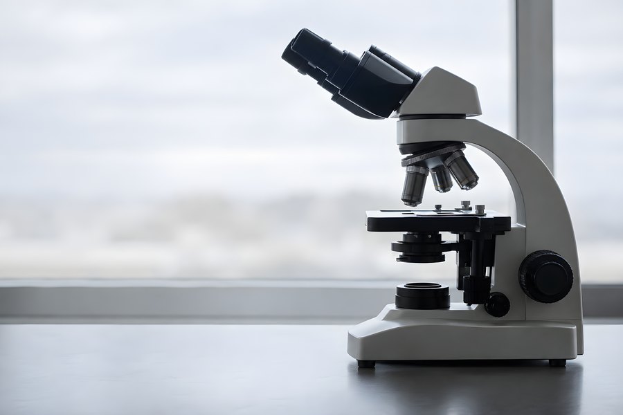 Binocular Compound Microscope on a Laboratory Bench, Backlit by a Bright Window, No People