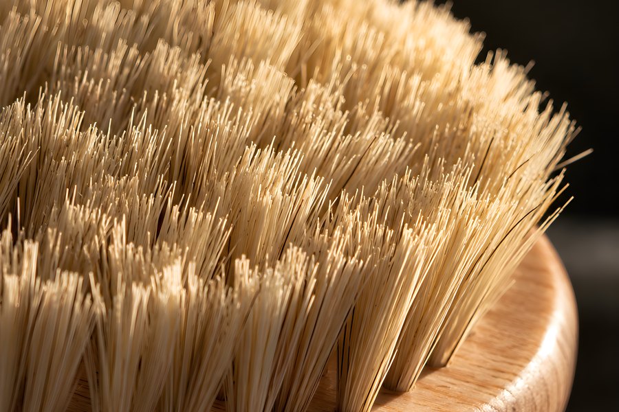 Close-up of a natural bristle dry body brush on a round wooden base with warm side lighting and a dark background